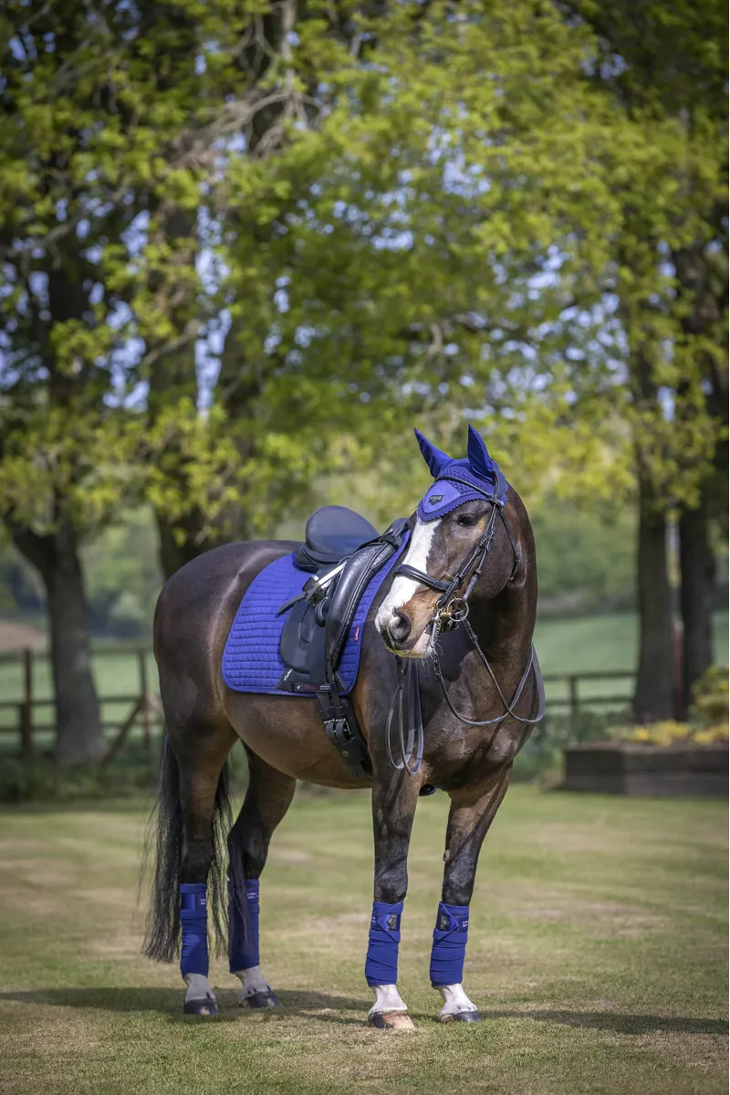 LeMieux Suede Dressage Square in Ink Blue-2